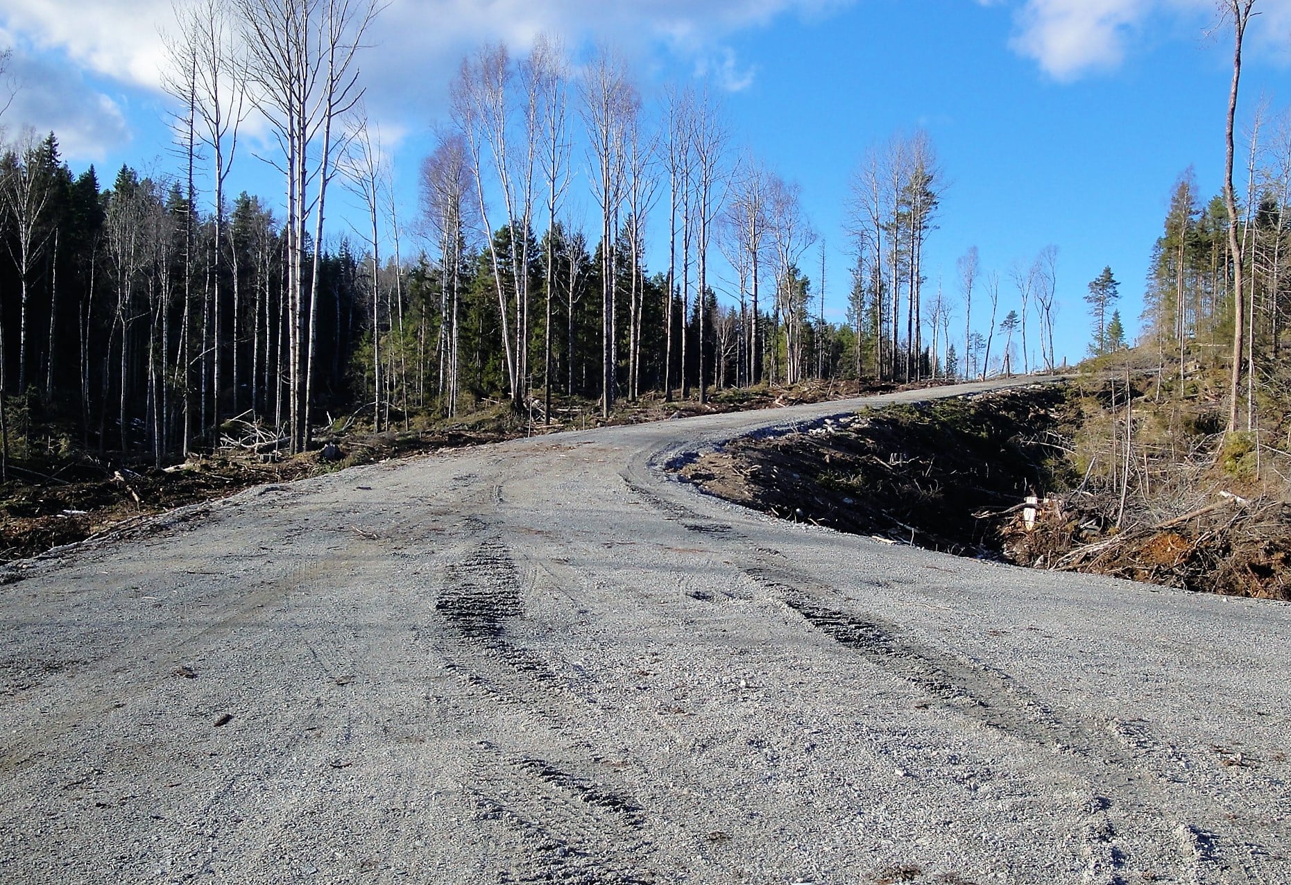 Bilde som viser skogsvei, grus, skog, blå himmel