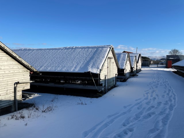 Pelsdyrfarm