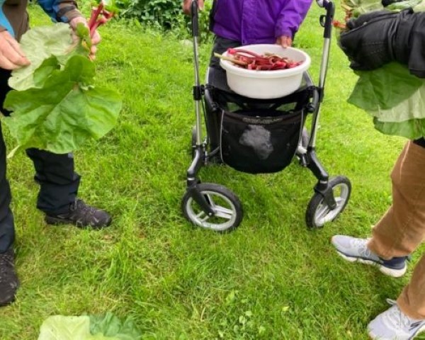 Demensomsorg på Torvholen gard i Klepp