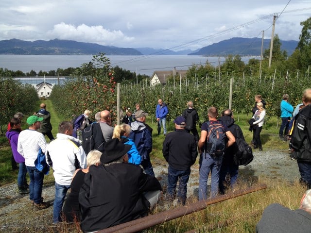 Utviklingsprosjekt innen frukt -  "Fruktsatsinga". Fra en frukthage på Ombo.