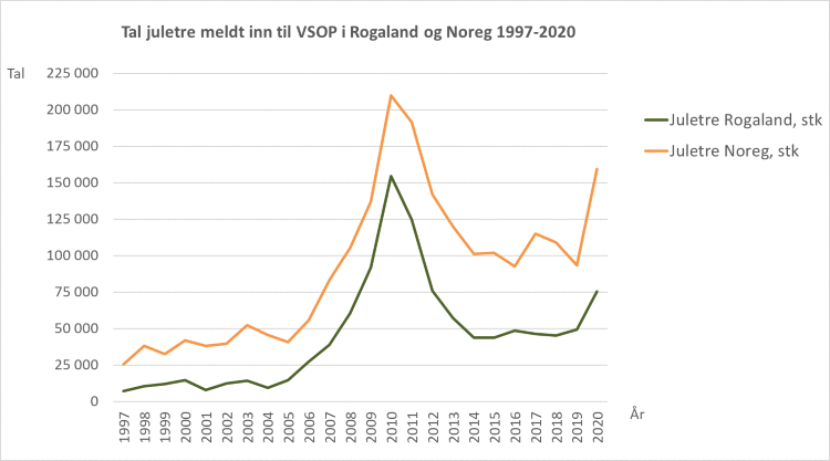Tal juletre meldt inn til VSOP i Rogaland og Noreg 1997-2020. Kjelde VSOP.

