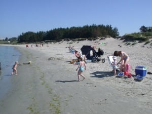 Strandliv i Sandebukta.