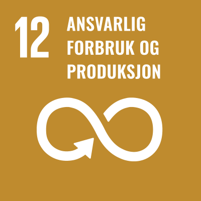 FNs bærekraftsmål nr 12: Sikre bærekraftig forbruks- og produksjonsmønstre.
