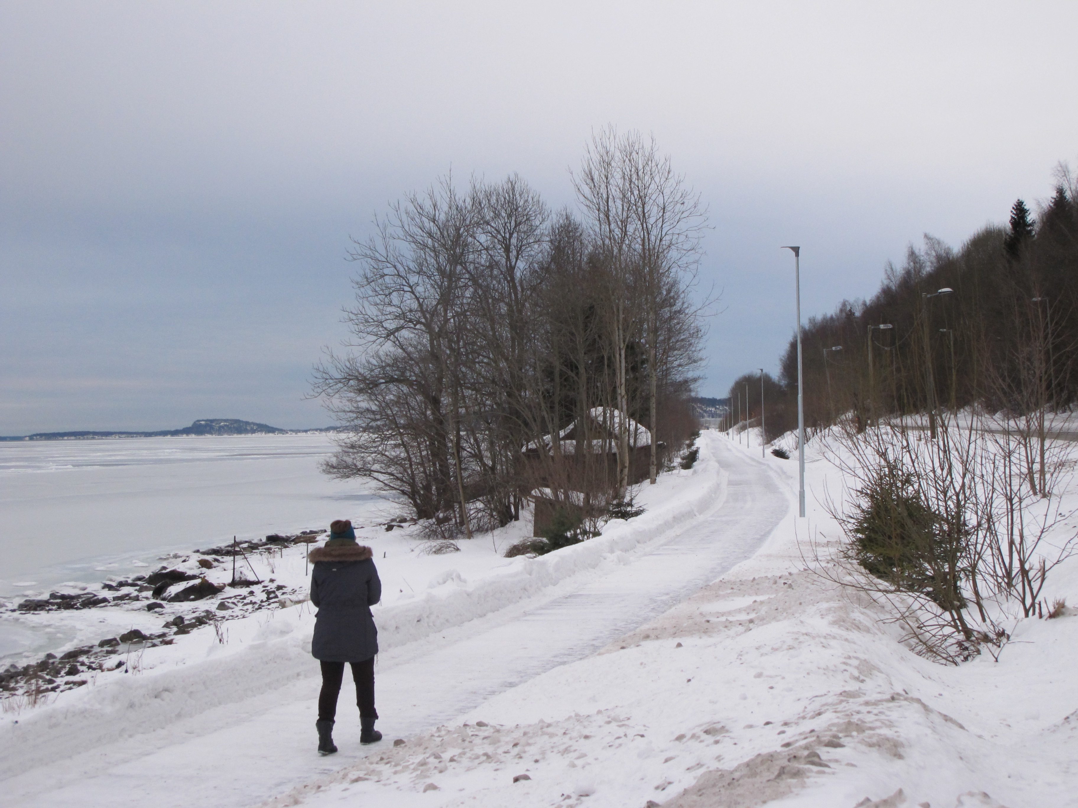 Turgåing på kyststien på den gamle jernbanelinja mellom Sande og Holmestrand er blitt svært populært. 