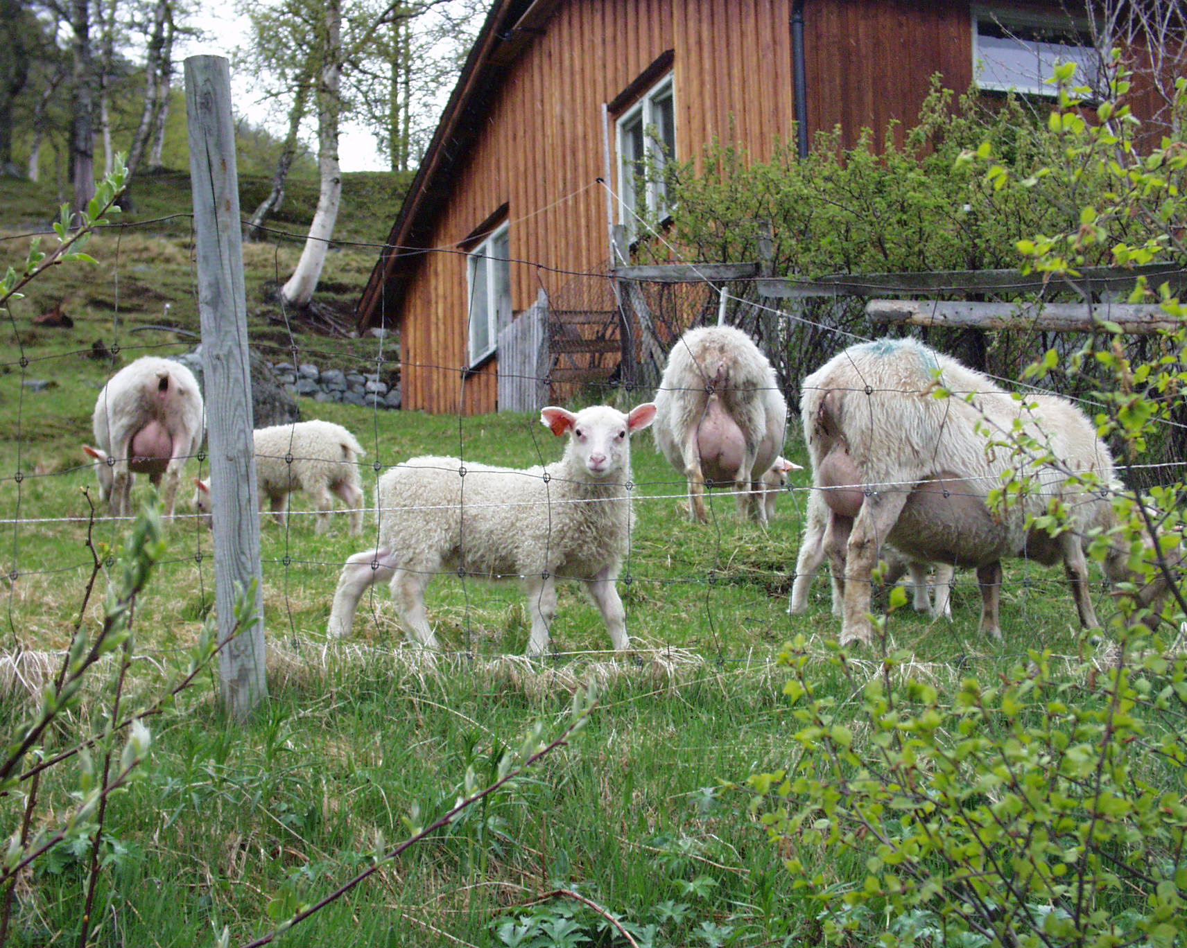 Foto: Statsforvalteren i Vestfold og Telemark