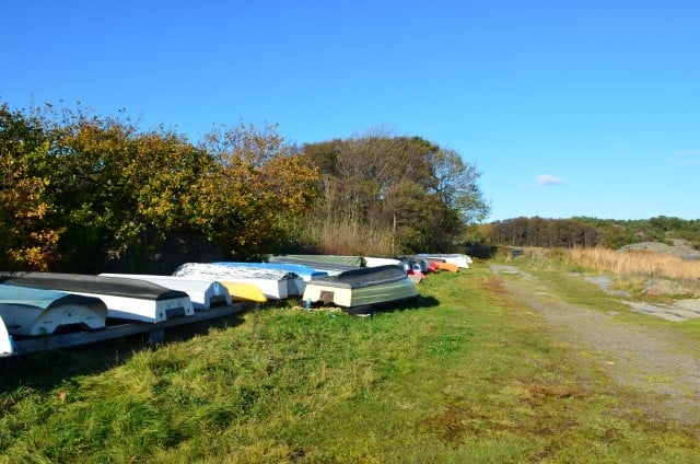 Foto: Statsforvaltaren i Vestfold og Telemark