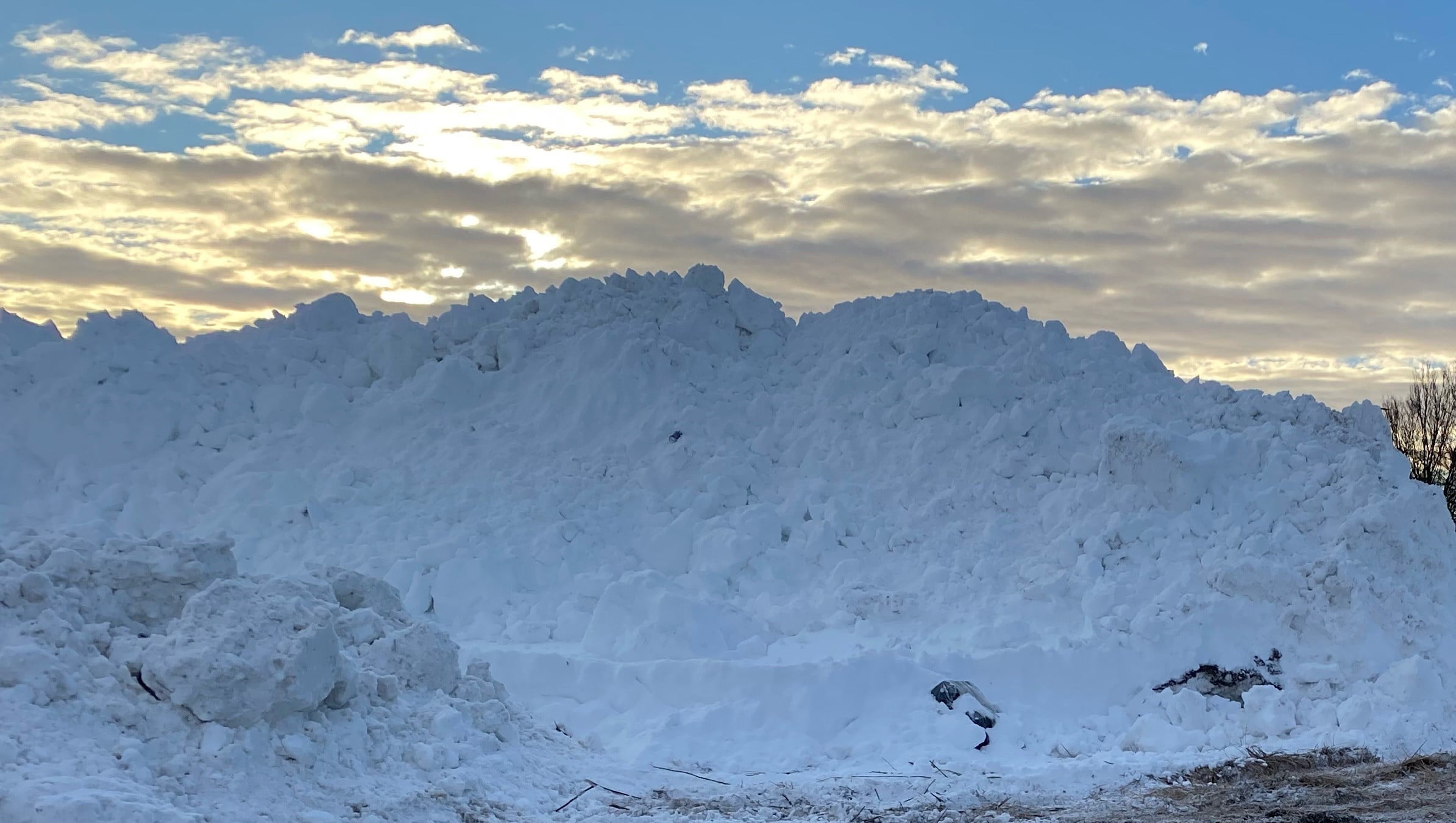 Foto: Statsforvalteren i Vestfold i Telemark