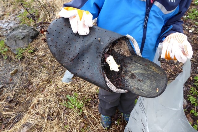Mye rart å finne på en strandryddedag. Foto: Statsforvalteren i Vestfold og Telemark