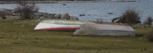 Foto: Statsforvaltaren i Vestfold og Telemark