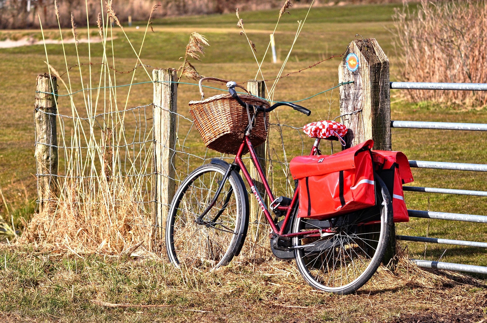 På sykkeltur. Foto: Pixabay