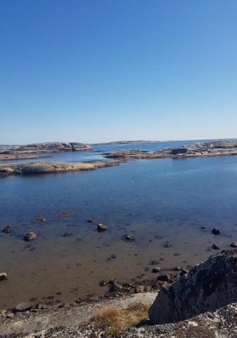 Kystnære områder med svaberg, stranddyner og holmer er eksempel på natur vi ser nærmere på da flere av disse områdene er viktig for fuglelivet, har rødlista arter og naturtyper knyttet til seg. Foto: Linnea Vereide