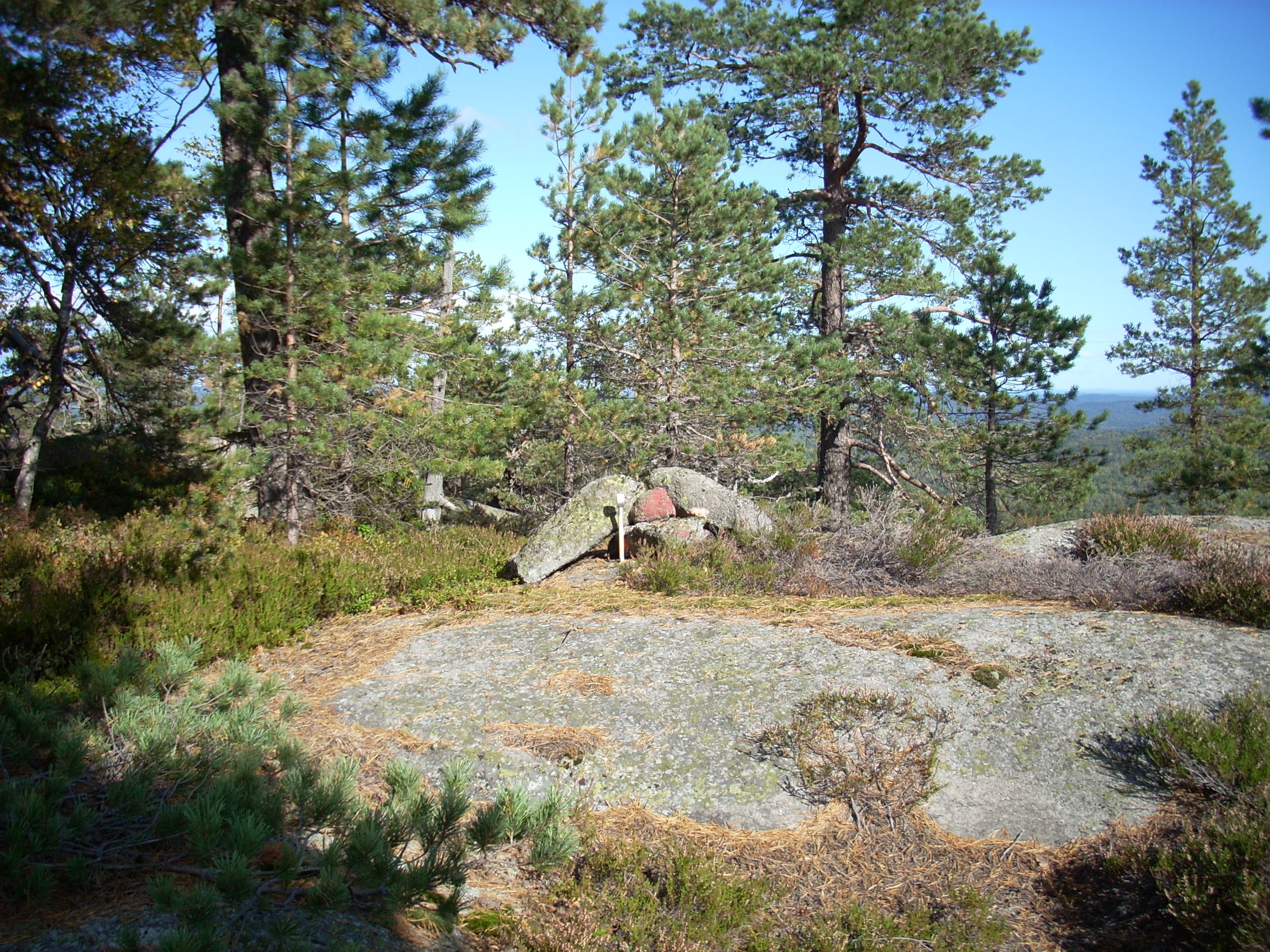 Korpen naturreservat. Foto: Egil Soglo