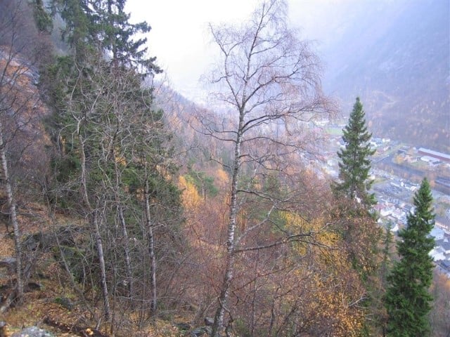 Vestfjorddalen naturreservat: Lisiden sett fra hengene under Gamlenut og østover. Foto: Sigve Reiso
