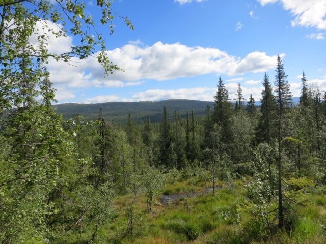 Skirvedalen naturreservat:  Fra åpent part ved Heggeflatin.  Foto: Øivind Gammelmo