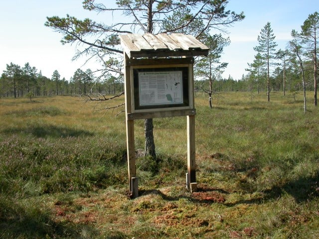 Stavsholtmyrane naturreservat ble verna i 1979. Foto: Statsforvaltaren i Vestfold og Telemark