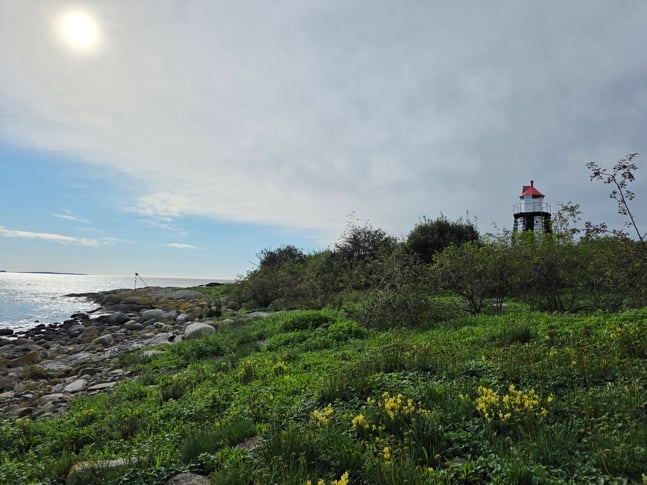 Østenskjær. Fotograf: Statsforvalteren i Vestfold og Telemark