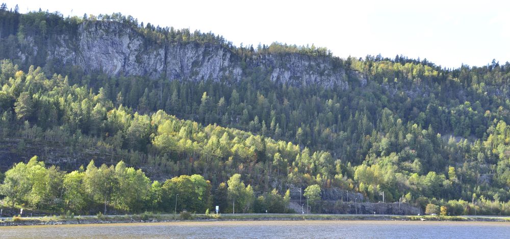 Deler av Holmestrandsveggen er vernet i Bogen naturreservat.