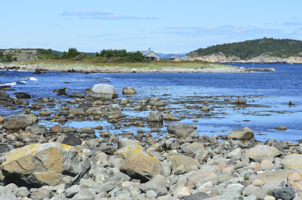 Ærfuglen liker seg i området ved Fugløyrogn, her sett fra nordvestre hjørnet av Mølen.