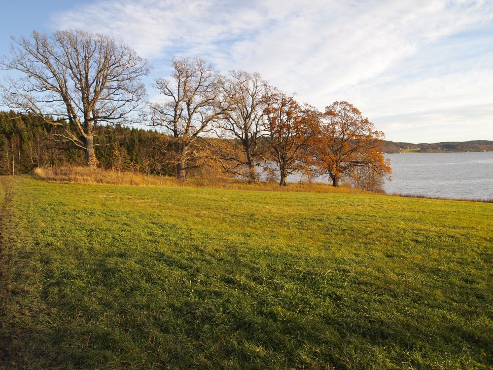 Reservatet på Melsom er todelt med en større del inne ved båthavna og en mindre del med fem eiketrær omkranset av åkre litt lenger sør. 