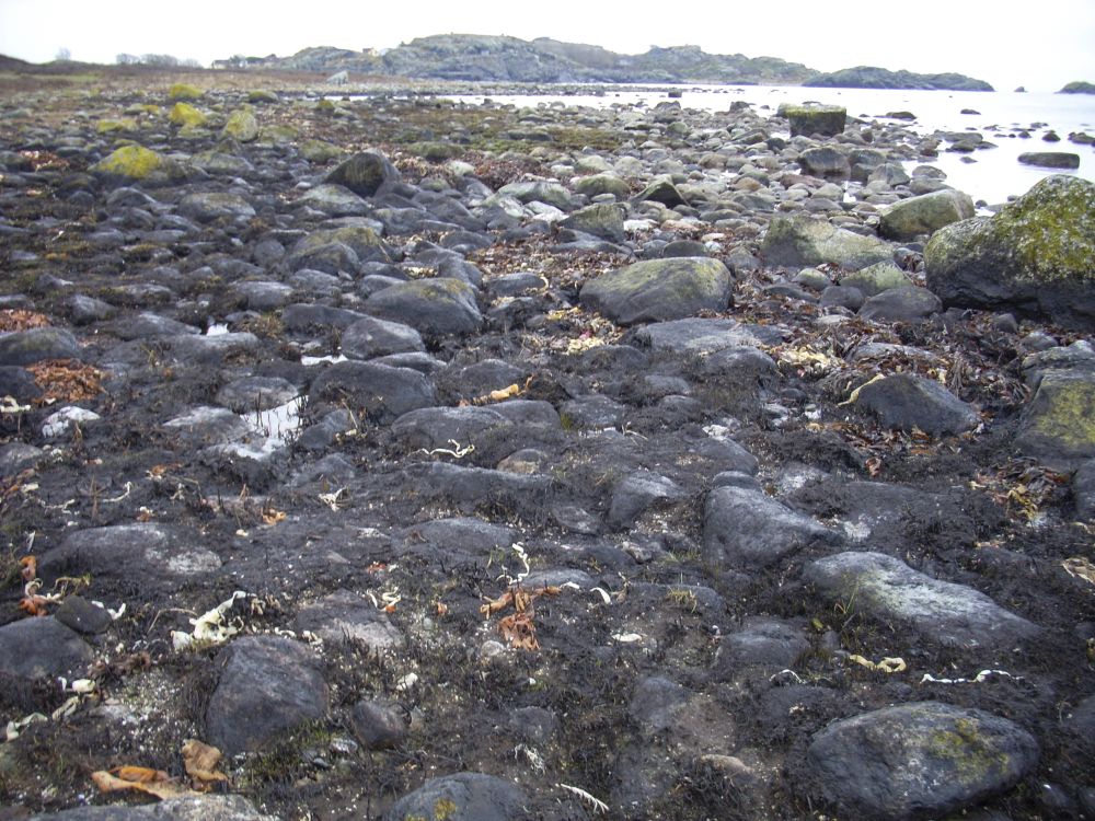 Da Full City gikk på grunn ved Såstein i Langesund i 2009, ble store deler av Nevlungstranda tilsølt med olje. En kombinasjon av opprensingsarbeid og naturens egen evne til å hele, har gjort at man i dag ikke kan se nevneverdig spor av oljesølet. 