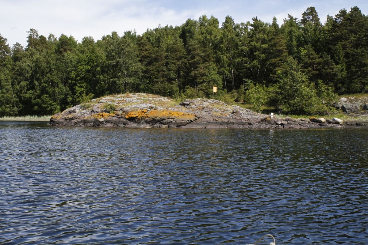 Østøyskjæret er en viktig hekkeplass for makrellterner.