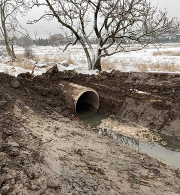 Presterødkilen naturreservat: Fjerning av rørgater er under arbeid. Foto: Statsforvalteren i Vestfold og Telemark