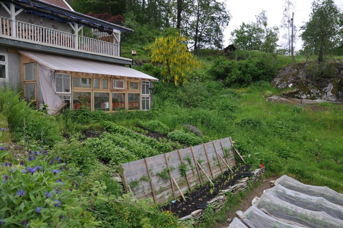 Foredling nær råvarene: Oppalet er i eit heimesnekra drivhus og urtene på eit areal like ved foredlingslokala i kjellardelen på hovudhuset. 