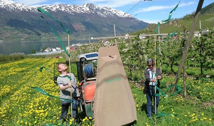 Funksjonstesting av sprøyte.
