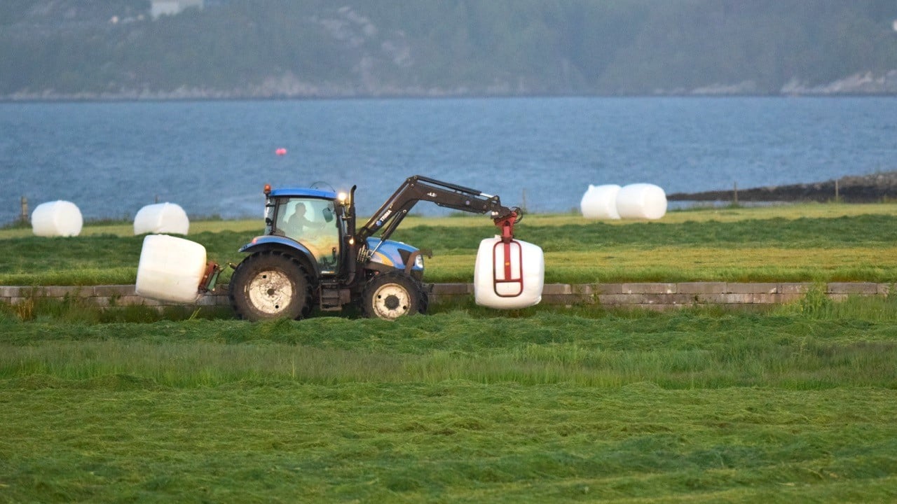 Rundballar på Herdla, Askøy kommune