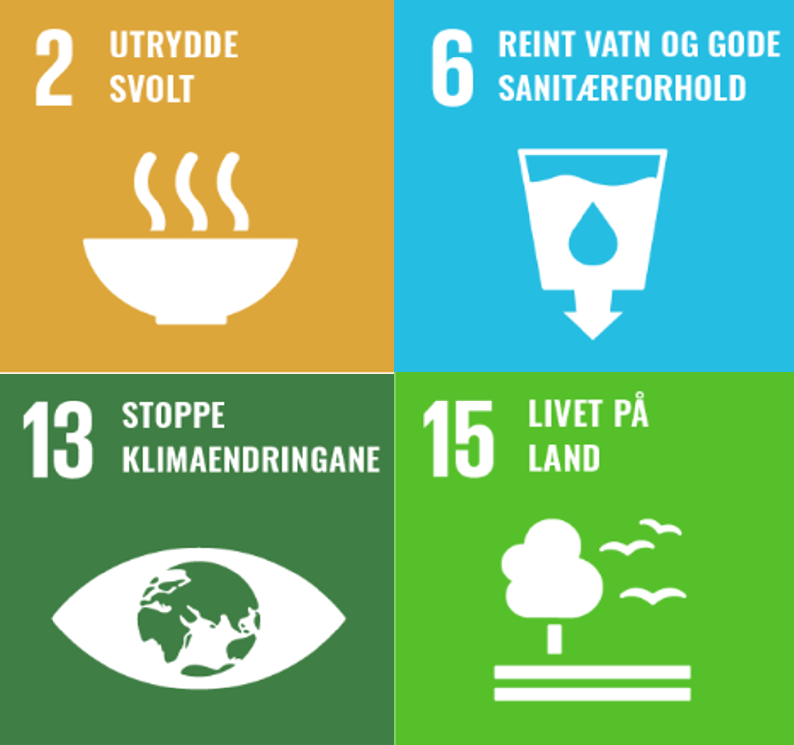 Viser icon av berekraftsmåla 2, 6, 13 og 15