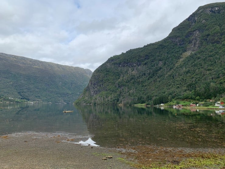fjordspegl med fjellside med tre der nokre tre er daude