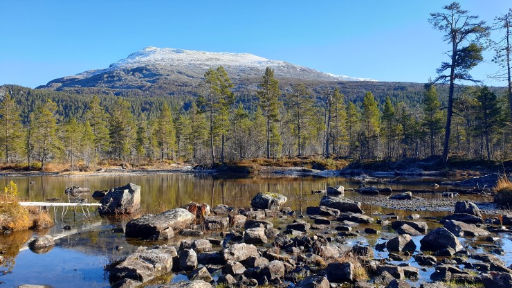 eit vatn med skog bak og fjell i horisonten som er snødekt 