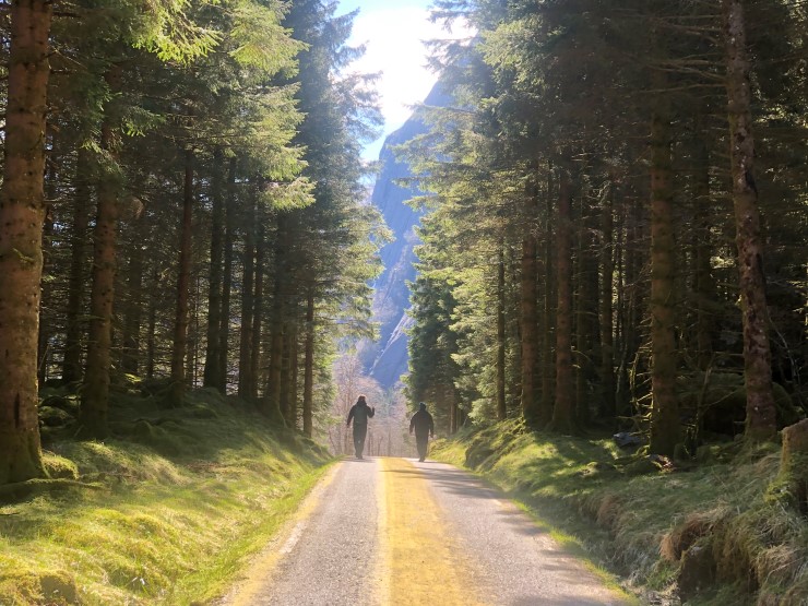 Det er ein del gran i nedre del av området, som her langs vegen inn til Osen gard. Grana utgjer eit trugsmål mot naturmangfaldet om det får spreie seg ukontrollert inn i regnskogen. Grana er for det meste lett tilgjengeleg å nå med skogsmaskinar. 