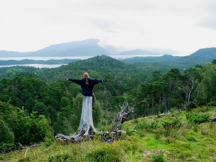 kvinne sitter på stubbe og ser ut over skog i tåkelandskap