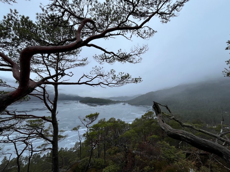 utsyn over eit vatn og skogkledde lier med lågt skydekke i gråvær