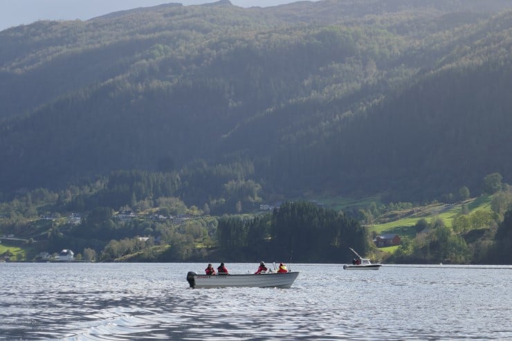 Dalsfjorden er ein attraktiv destinasjon for fisketurisme. Også lokalbefolkninga brukar fjorden til matauk og rekreasjon. 