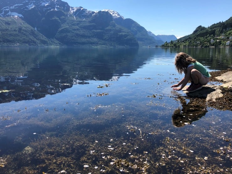 Sognefjorden er verdas djupaste fjord og har heilt unike geologiske kvalitetar. No set vi i gang den offisielle verneprosessen og vil gjerne ha innspel på utkastet til utgreiingsprogram. Det dannar grunnlag for den vidare prosessen mellom anna for kunnskapsinnhenting, medverknad og framdrift. 