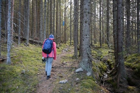 Dame som går tur i skogen