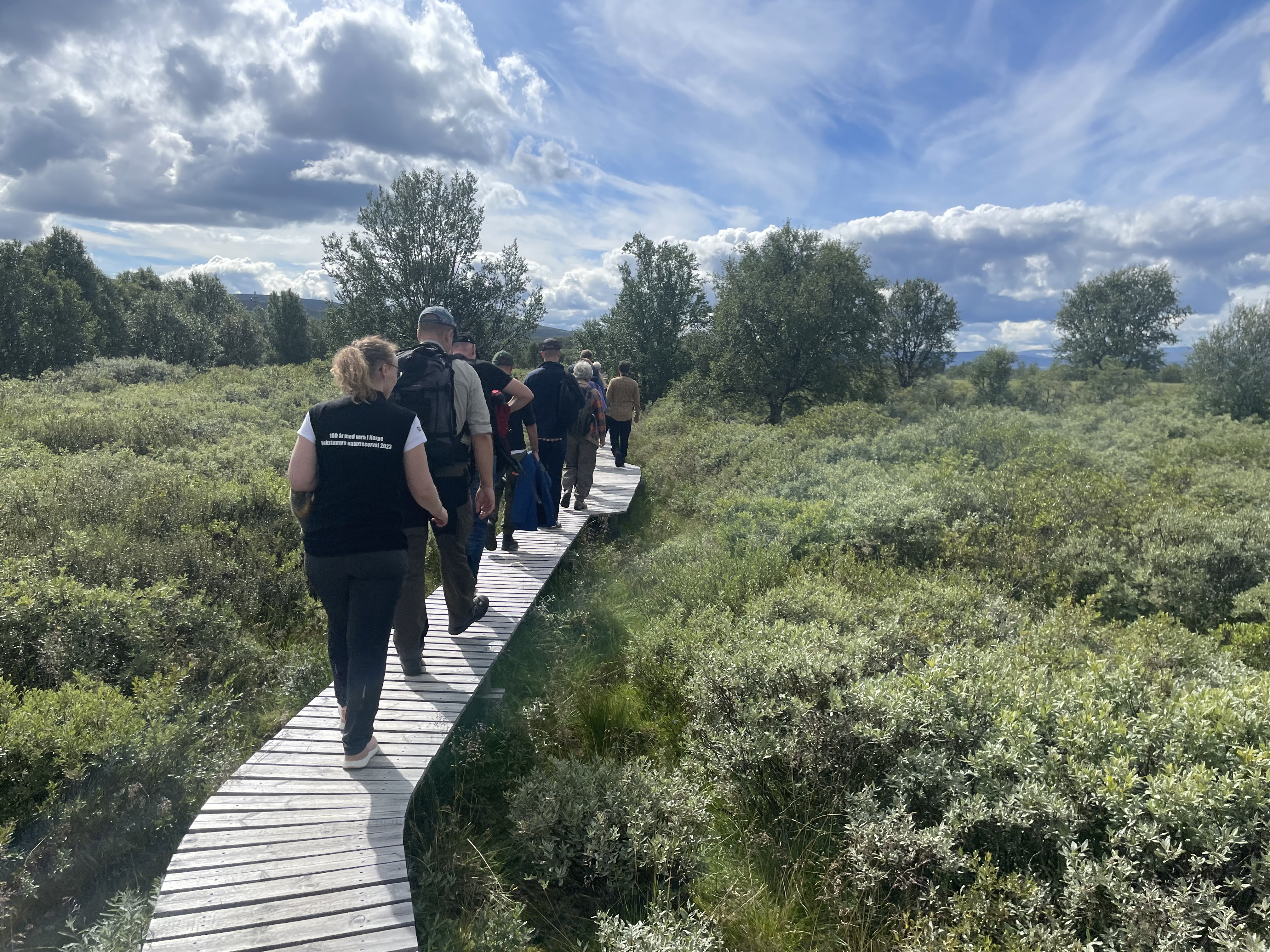 Folk går på en plankesti i myra på Fokstugu.