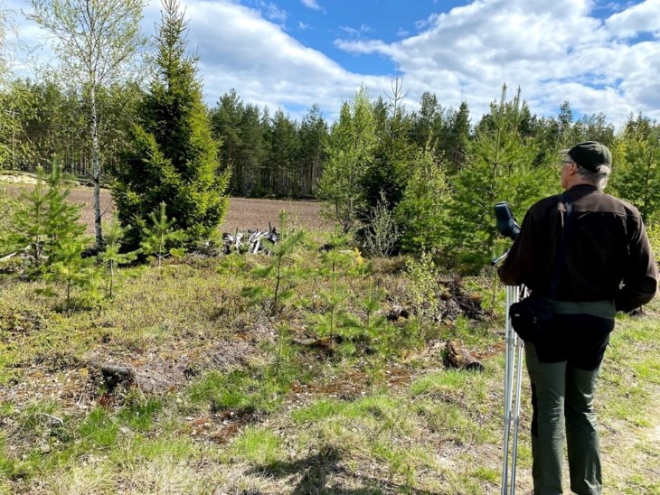 Biolog Jon Bekken på leting etter hortulan i et av kjerneområdene i Innlandet.