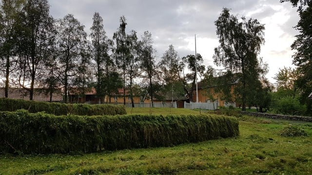 Slåttemark