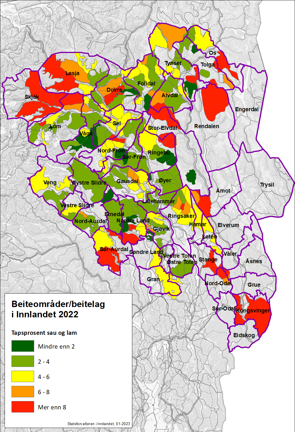 Kart som viser tap av sau og lam prosentvis, etter beitelag/beiteområder i Innlandet 2022