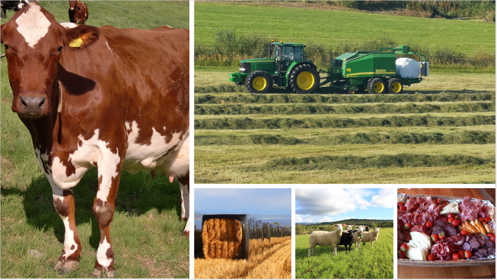 Bildet er satt sammen av i alt fem bilder (en kollasj) som viser ei ku på biete, en traktor med rundballepresse ute på et jorde, halm i stabel, sauer på beite og et fat med spekemat