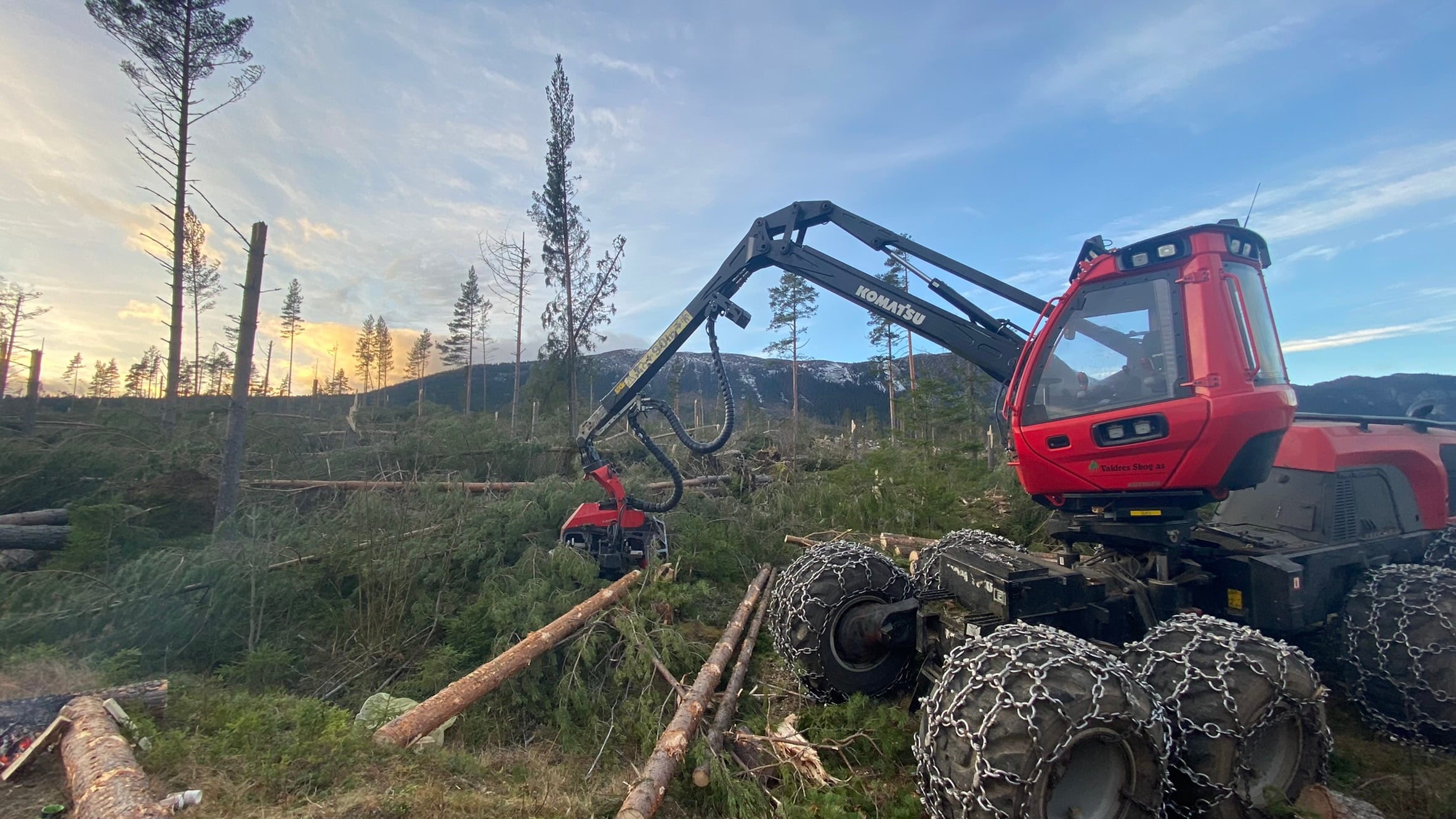 Opprydding av vindfelt skog i Sør-Aurdal etter stormen 19. november 2021