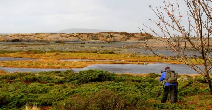 Dette vakre landskapet &oslash;nsker vi &aring; ta vare p&aring;. Foto: Beate Sundg&aring;rd.