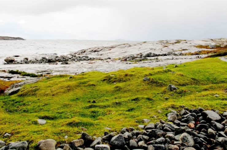 Godt beita og verdifull kystlynghei i Åfjord. Foto: Beate Sundgård Godt beita og verdifull kystlynghei i Åfjord. Foto: Beate Sundgård