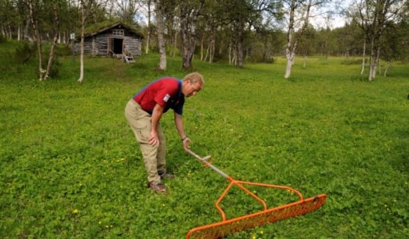 Skjøtsel av slåttemyr.