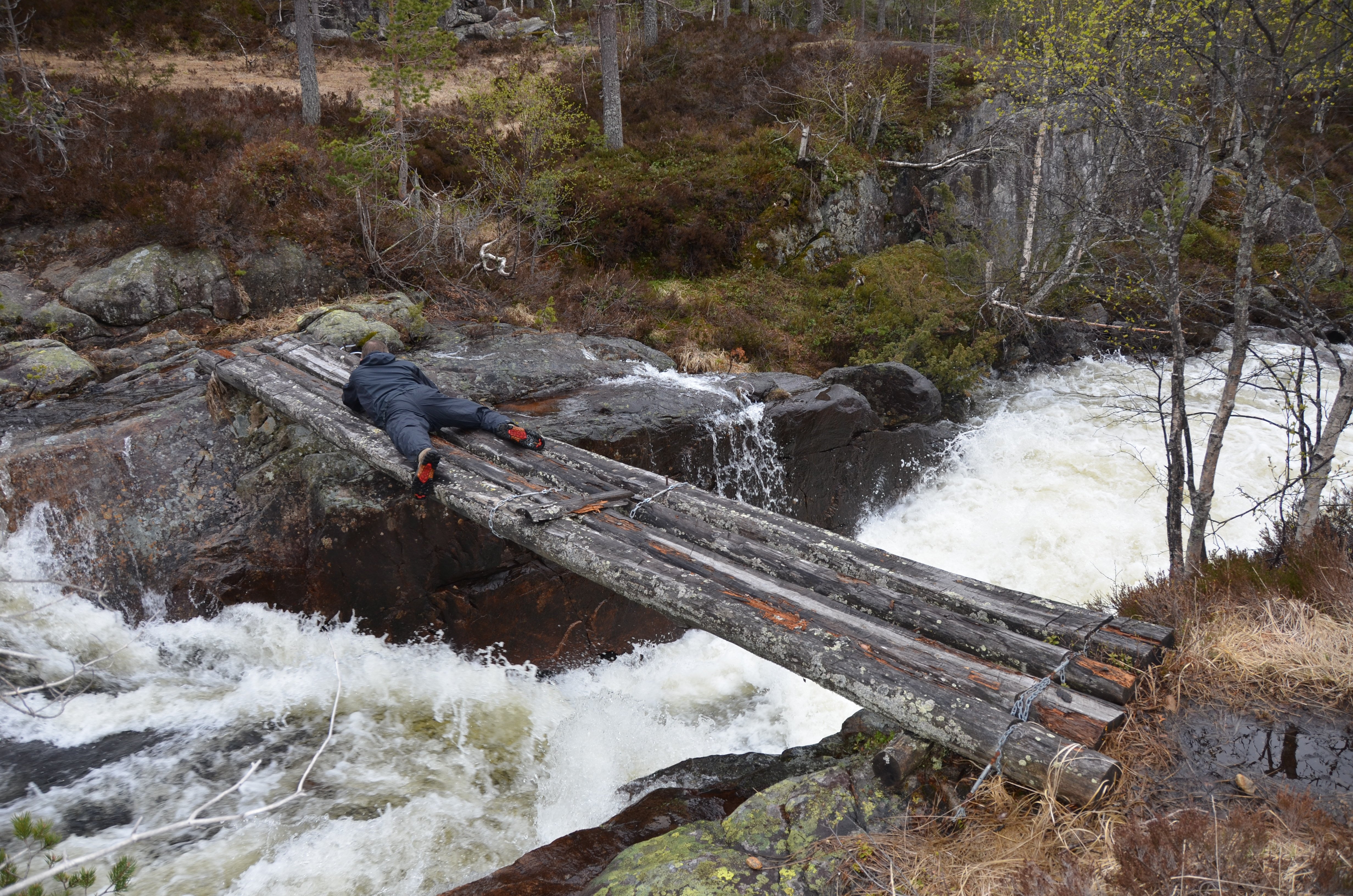 Gammel bru Årdalen naturreservat